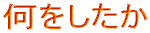 何をしたか